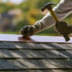 Common Questions About Roof Repair Answered