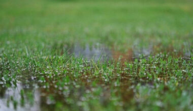 spring rain can turn a dry foundation into a soggy drama
