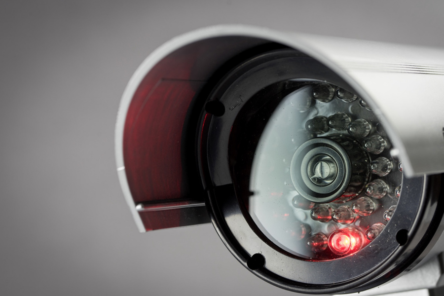 why security cameras became the new watchdogs of modern property