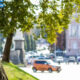 How Tree Services Can Improve Stormwater Management
