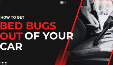 How to Get Bed Bugs Out of Your Car