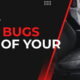 How to Get Bed Bugs Out of Your Car