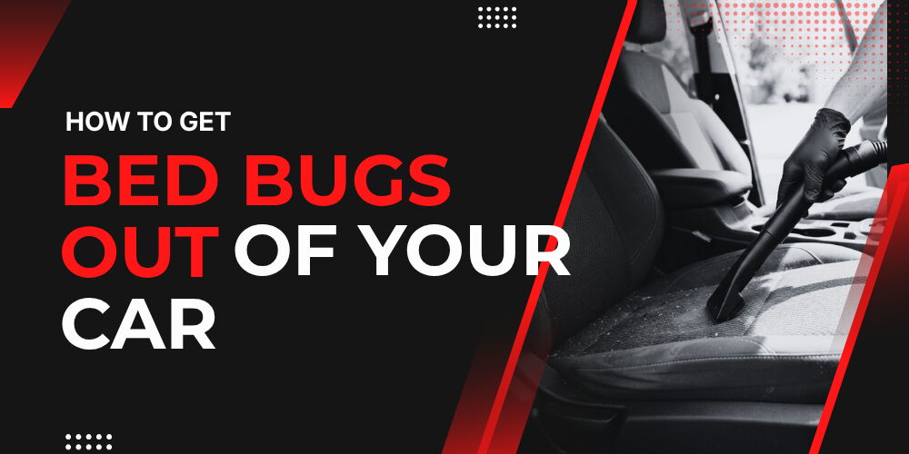 How to Get Bed Bugs Out of Your Car