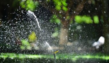 Keeping a Home Lawn Healthy in Florida Heat