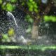 Keeping a Home Lawn Healthy in Florida Heat