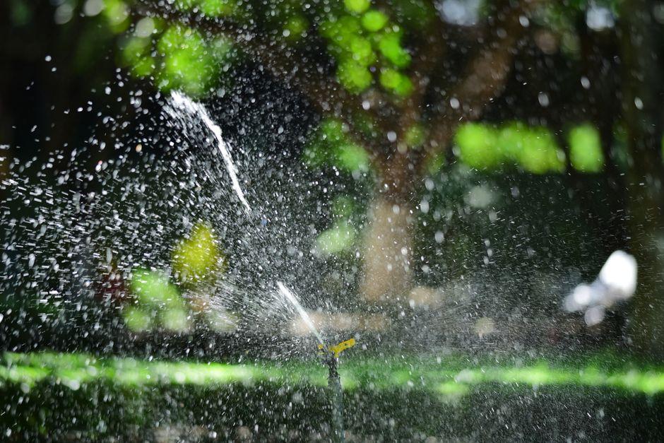 Keeping a Home Lawn Healthy in Florida Heat