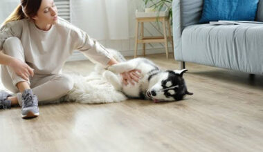 What To Know About Vinyl Plank Flooring and Pets