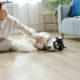 What To Know About Vinyl Plank Flooring and Pets