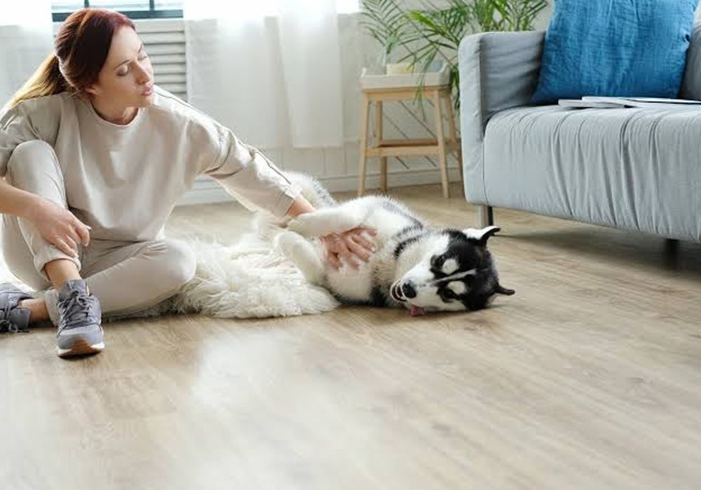 What To Know About Vinyl Plank Flooring and Pets