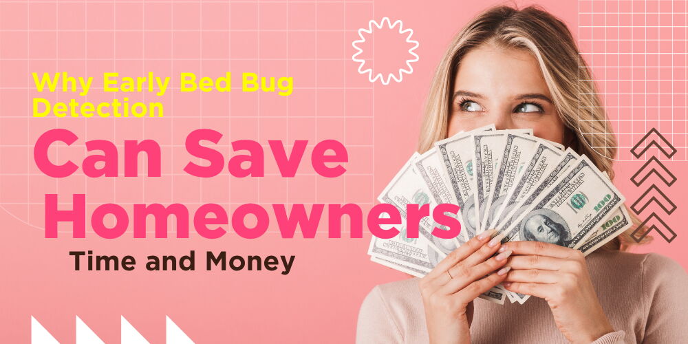 Why Early Bed Bug Detection Can Save Homeowners Time and Money