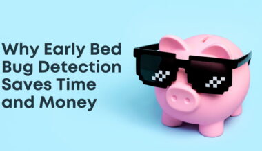 Why Early Bed Bug Detection Saves Time and Money