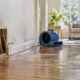 Dry In Place or Tear Out How to Decide After Indoor Water Damage