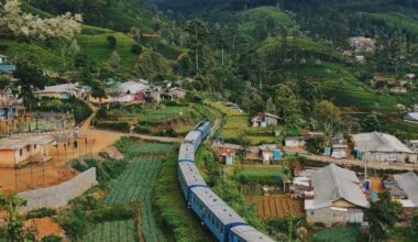 Why Slow Travel Could Be the Best Way to Discover Sri Lanka