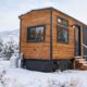 How Tiny Living Systems Handle Harsh Cold Fronts