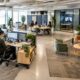 How To Plan A Flexible Office For Focus Teamwork And Growth