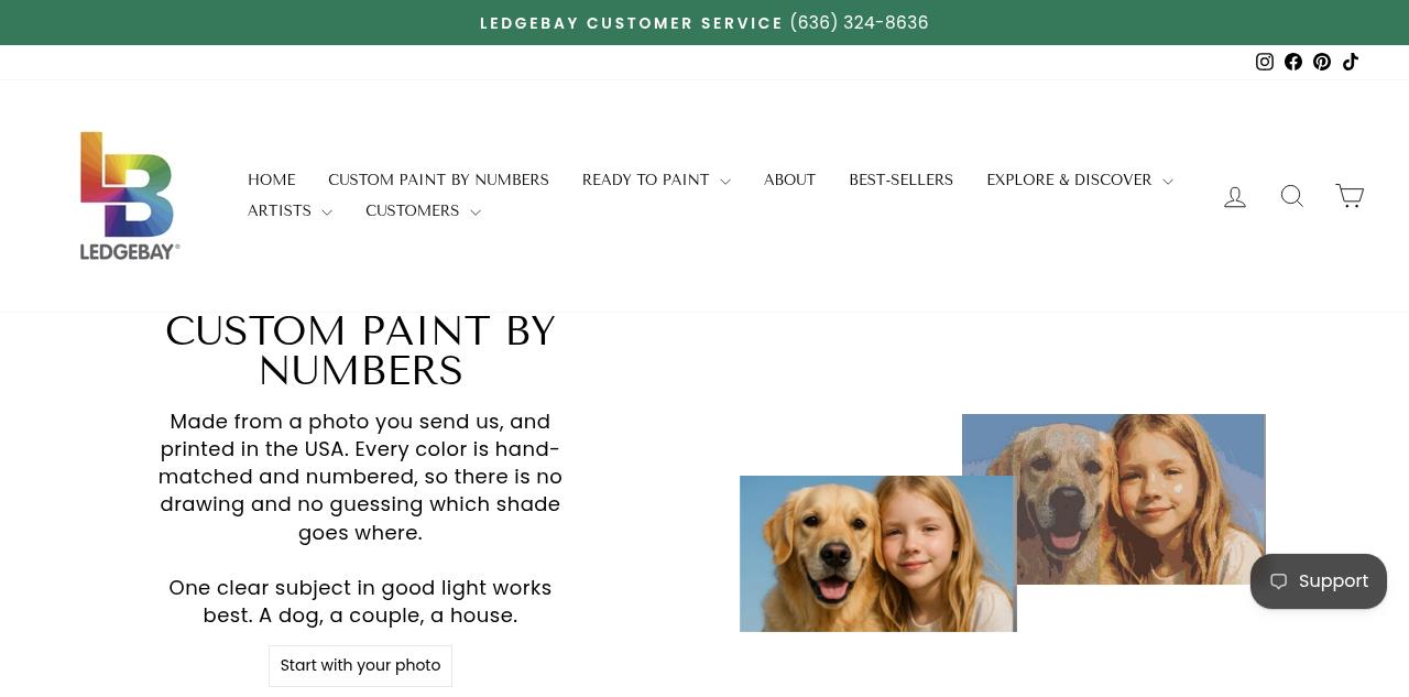 Top 5 Paint by Numbers Kit Companies for Relaxing at Home in 2026 6